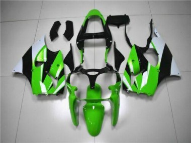 Verde Branco Preto Carenagem Moto Kawasaki ZX6R 2000-2002