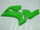 Verde Kit Carenagem Moto Kawasaki ZX6R 2005-2006 Verde Kit Carenagem Moto Kawasaki ZX6R 2005-2006