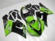 Verde Kits Carenagem Moto Kawasaki ZX6R 2005-2006 Verde Kits Carenagem Moto Kawasaki ZX6R 2005-2006