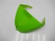 Verde Kits Carenagem Moto Kawasaki ZX6R 2005-2006 Verde Kits Carenagem Moto Kawasaki ZX6R 2005-2006