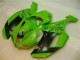Verde Preto Dunlop Carenagem Moto Kawasaki ZX6R 2007-2008 Verde Preto Dunlop Carenagem Moto Kawasaki ZX6R 2007-2008